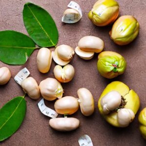 Garcinia cambogia