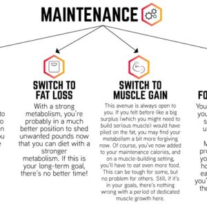 The Ultimate Guide to Reverse Dieting: What It Is and How It Works